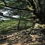 Дом отдыха In Veluwe Near Nature Park