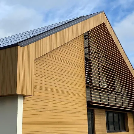 In Veluwe Near Nature Park Voorthuizen