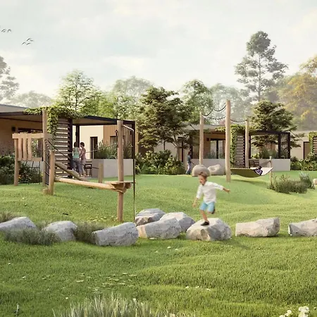 In Veluwe Near Nature Park Voorthuizen