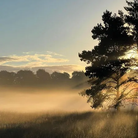 Сasa de vacaciones In Veluwe Near Nature Park Voorthuizen