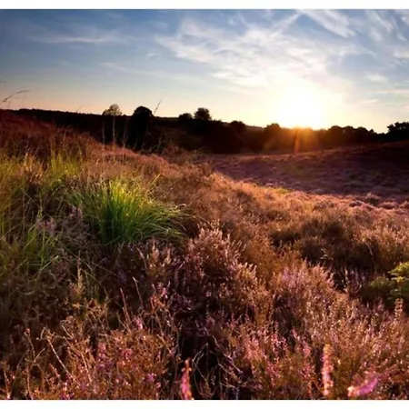 In Veluwe Near Nature Park Dom wakacyjny *