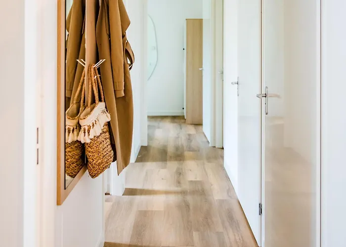 In Veluwe Near Nature Park *