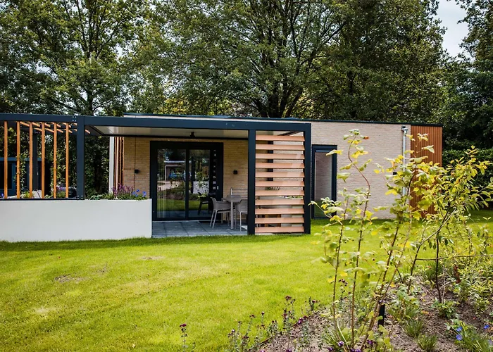 In Veluwe Near Nature Park *