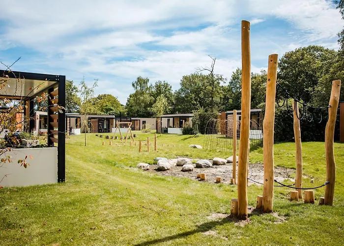 In Veluwe Near Nature Park *