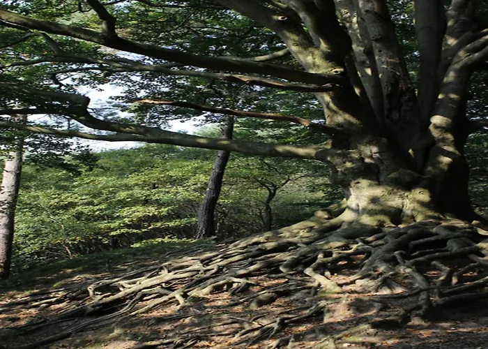 Dom wakacyjny In Veluwe Near Nature Park