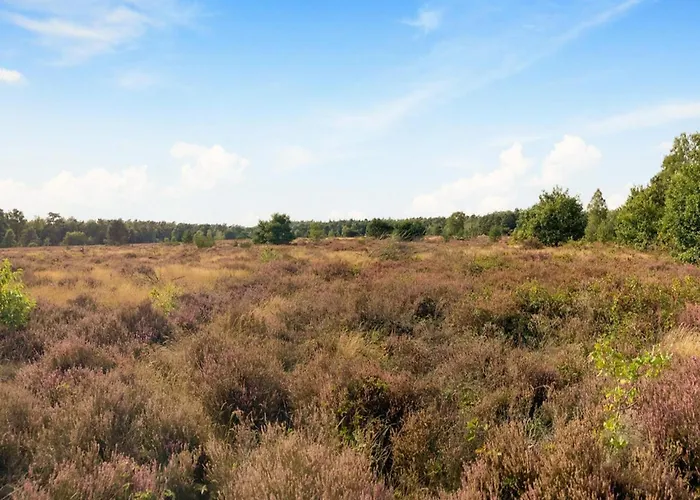 In Veluwe Near Nature Park Holiday home *