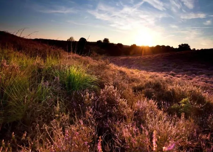 In Veluwe Near Nature Park Dom wakacyjny *