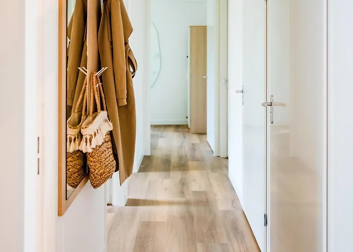 In Veluwe Near Nature Park *