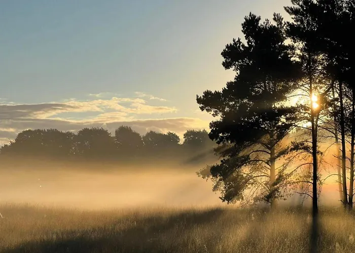 بيت للعطل In Veluwe Near Nature Park فورتهاوزن