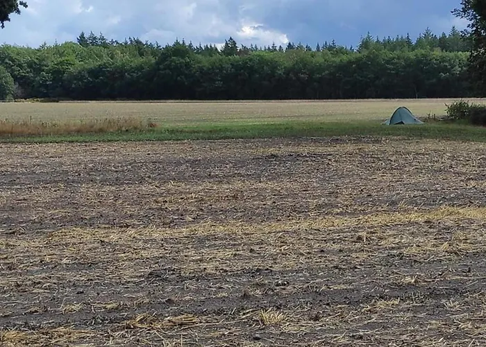 بيت للعطل In Veluwe Near Nature Park *